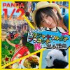 Panda 1/2 "bokura ga Sri Jayawardenapura Kotte e tabi ni deru riyū" (Download)