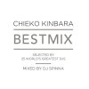 Kinbara Chieko "Best Mix"