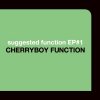 Cherryboy Function "suggested function EP#1"