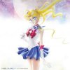 Various Artists "'Sailor Moon' The 20th Anniversary Memorial Tribute"