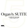 Various Artists "Organ b. Suite No.5 A Winter For New Age - A Tatsuo Sunaga live mix"