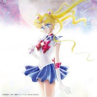Various Artists 'Sailor Moon' The 20th Anniversary Memorial Tribute オムニバス 美少女戦士セーラームーン THE 20TH ANNIVERSARY MEMORIAL TRIBUTE