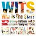 Various Artists "Who is the Star? WITS Compilation Vol.3 -20th anniversary edition-"