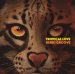Denki Groove "Tropical Love"