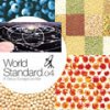 Sunaga Tatsuo "World Standard.04 -A Tatsuo Sunaga Live Mix-" (CCCD)