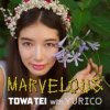 Towa Tei with Yurico "Marvelous" (Download)
